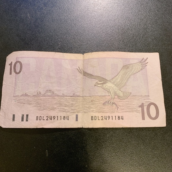 CANADA 10 DOLLARS 1989 PARLIAMENT UNC OSPREY INFLIGHT CURRENCY Canadian - Picture 5 of 5